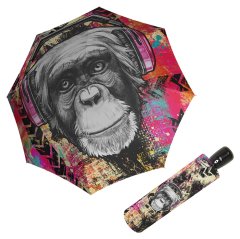 Doppler Modern Art Magic Monkey