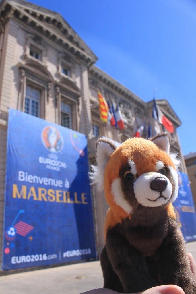 Panda v Marseillu