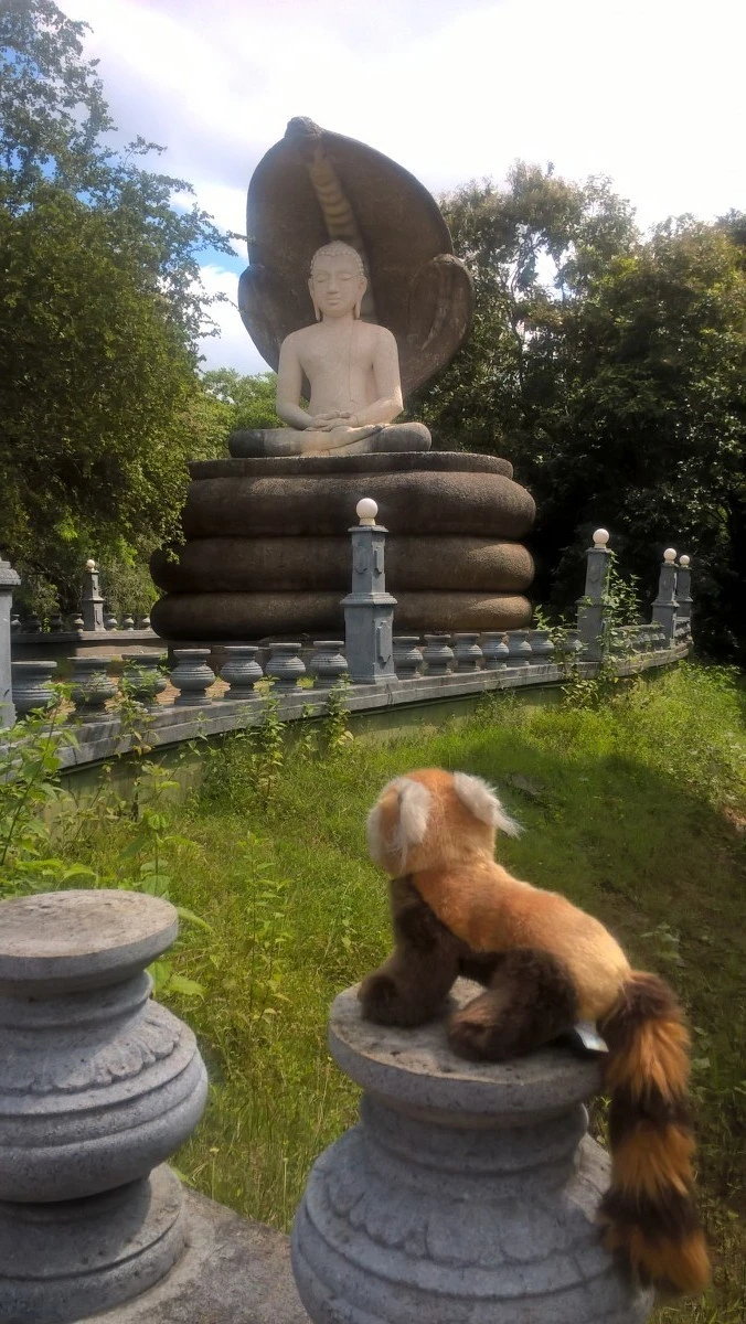 Anuradhapura