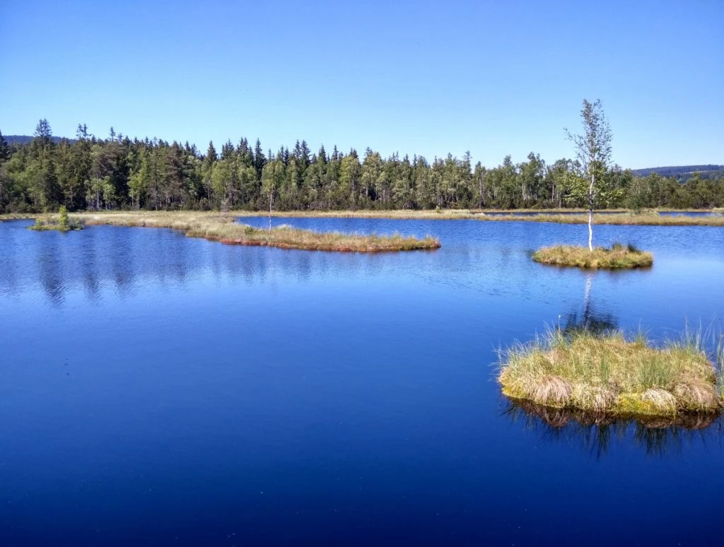 Chalupská slať Šumava