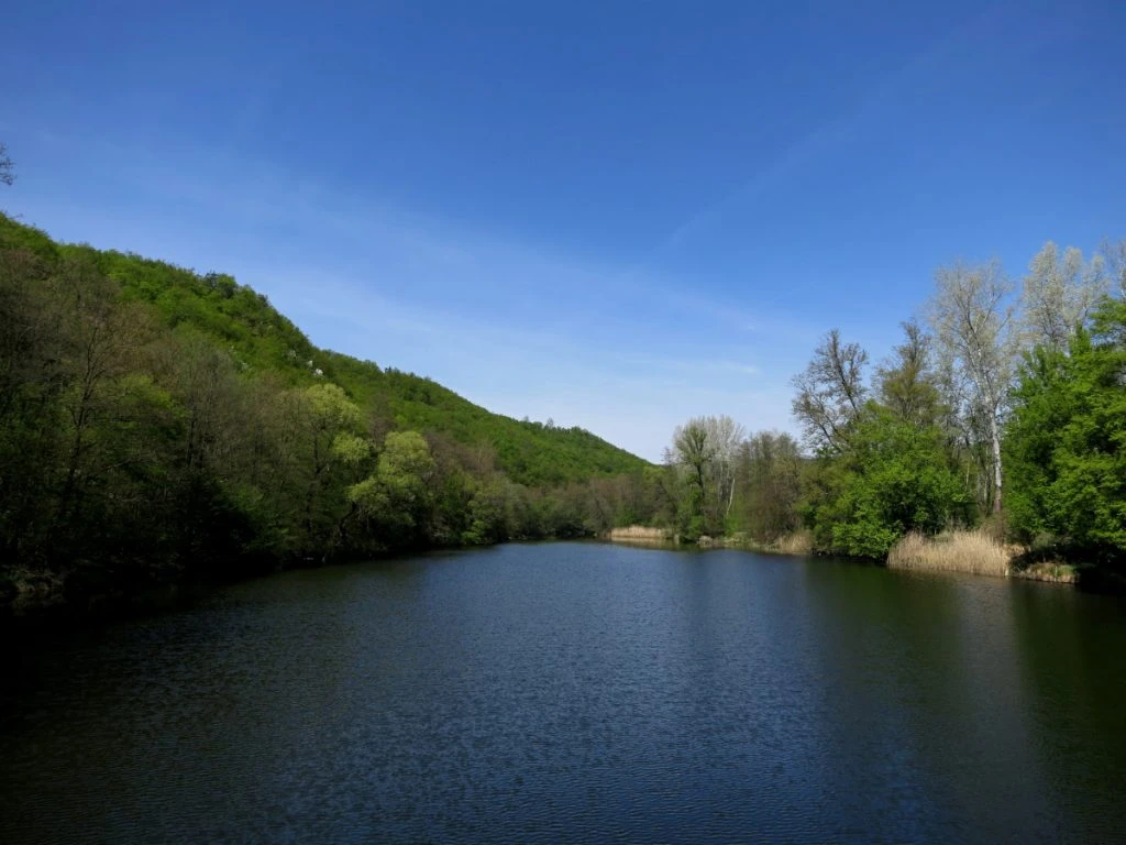 Pogled na reko Dyje