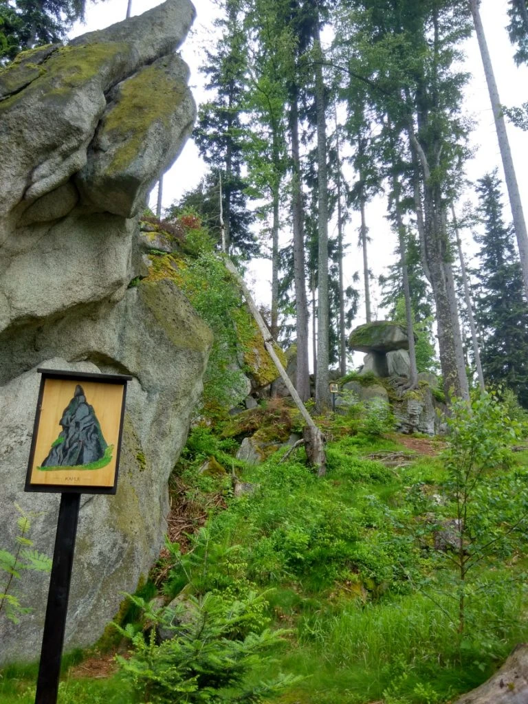 Šumava - Medvedja pot